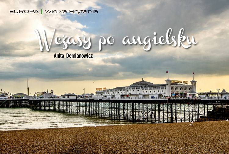 Losowy darmowy artykuł